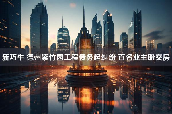 新巧牛 德州紫竹园工程债务起纠纷 百名业主盼交房