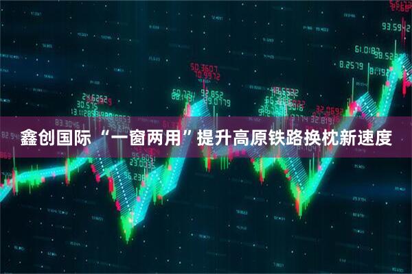 鑫创国际 “一窗两用”提升高原铁路换枕新速度
