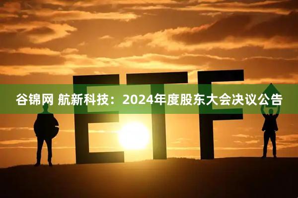 谷锦网 航新科技：2024年度股东大会决议公告