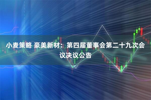 小麦策略 豪美新材：第四届董事会第二十九次会议决议公告