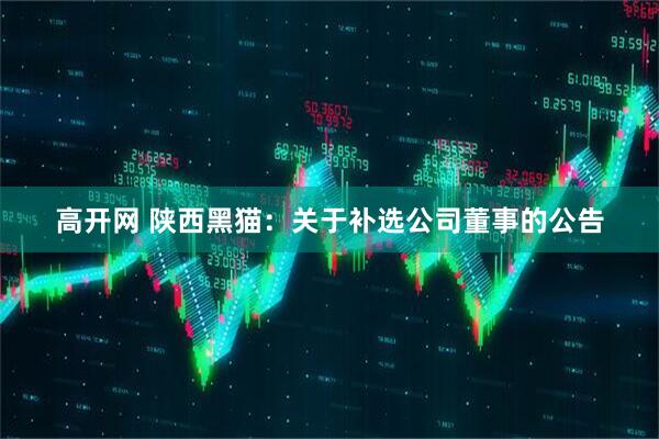 高开网 陕西黑猫：关于补选公司董事的公告