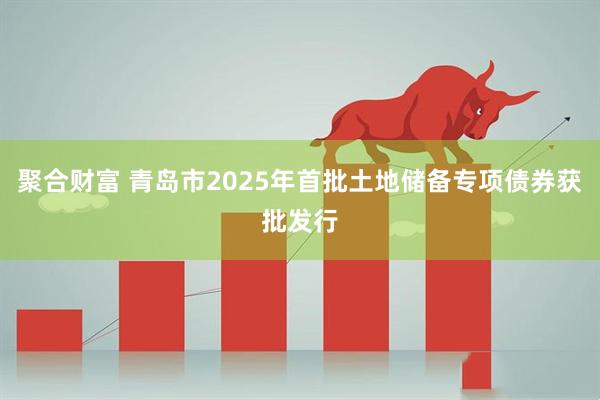 聚合财富 青岛市2025年首批土地储备专项债券获批发行
