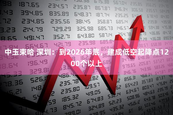 中玉束哈 深圳：到2026年底，建成低空起降点1200个以上