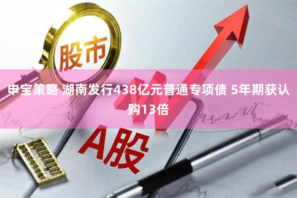 申宝策略 湖南发行438亿元普通专项债 5年期获认购13倍
