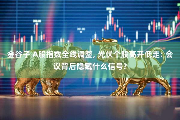 金谷子 A股指数全线调整, 光伏个股高开低走: 会议背后隐藏什么信号?